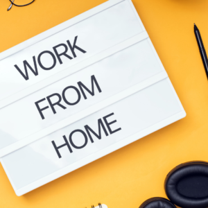 Work From Home Program
